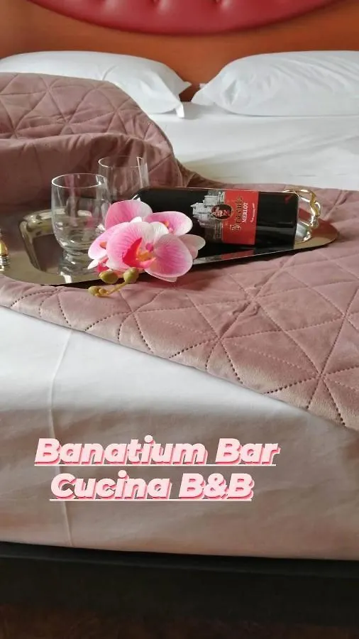 Hotel Banatium B&B Cucina Tezze sul Brenta 2*,